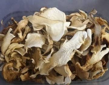 Steinpilze im Backrohr trocknen Steinpilze im Backrohr trocknen