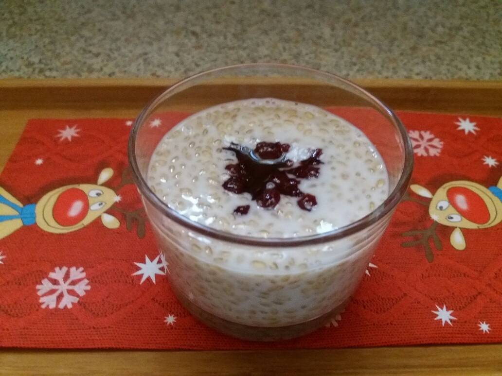 Leinsamen-Pudding mit Preiselbeeren