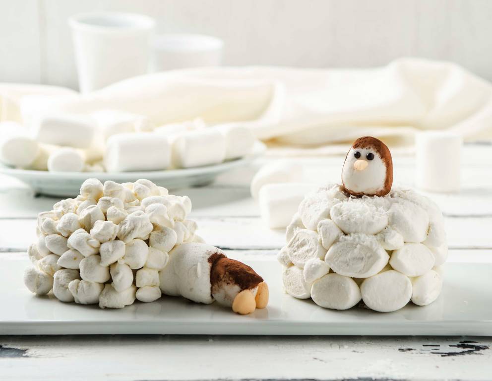 Pinguin Iglus Pinguin Iglus