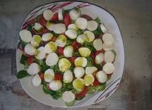 Caprese-Salat auf Rucola