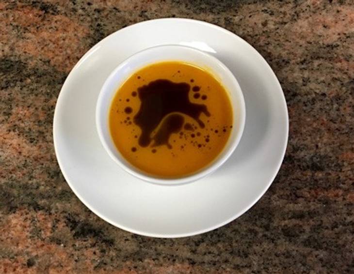 Fruchtige Kürbissuppe Fruchtige Kürbissuppe