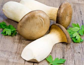 Kräuterseitlinge Rezepte Kräuterseitlinge Rezepte