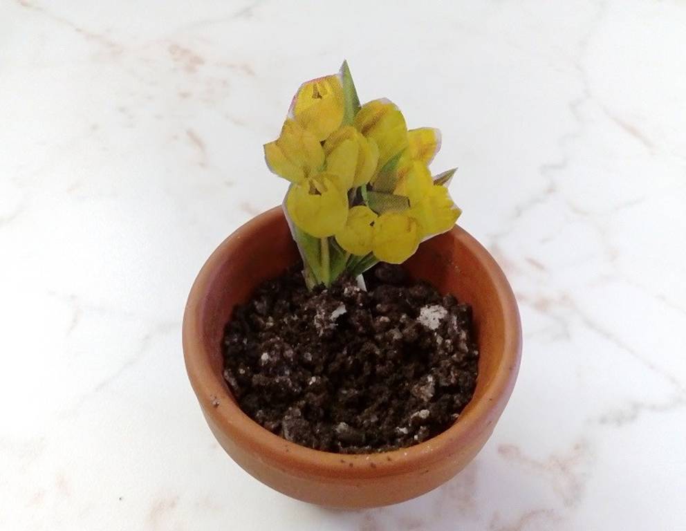 Blumenerde Blumenerde