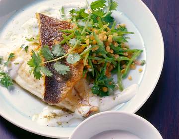 Dorade mit Zuckerschoten, roten Linsen und Joghurtsauce Dorade mit Zuckerschoten, roten Linsen und Joghurtsauce