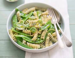 Nudelsalat mit Zuckerschoten, Zitrone und Basilikum Nudelsalat mit Zuckerschoten, Zitrone und Basilikum