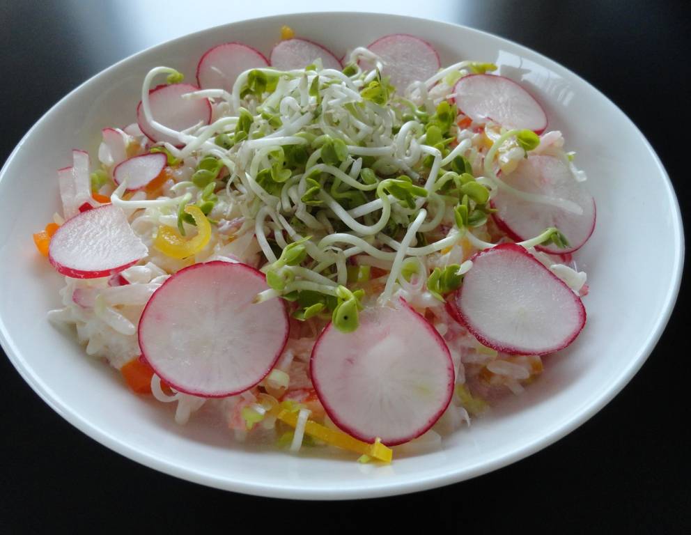 Pikanter Reissalat