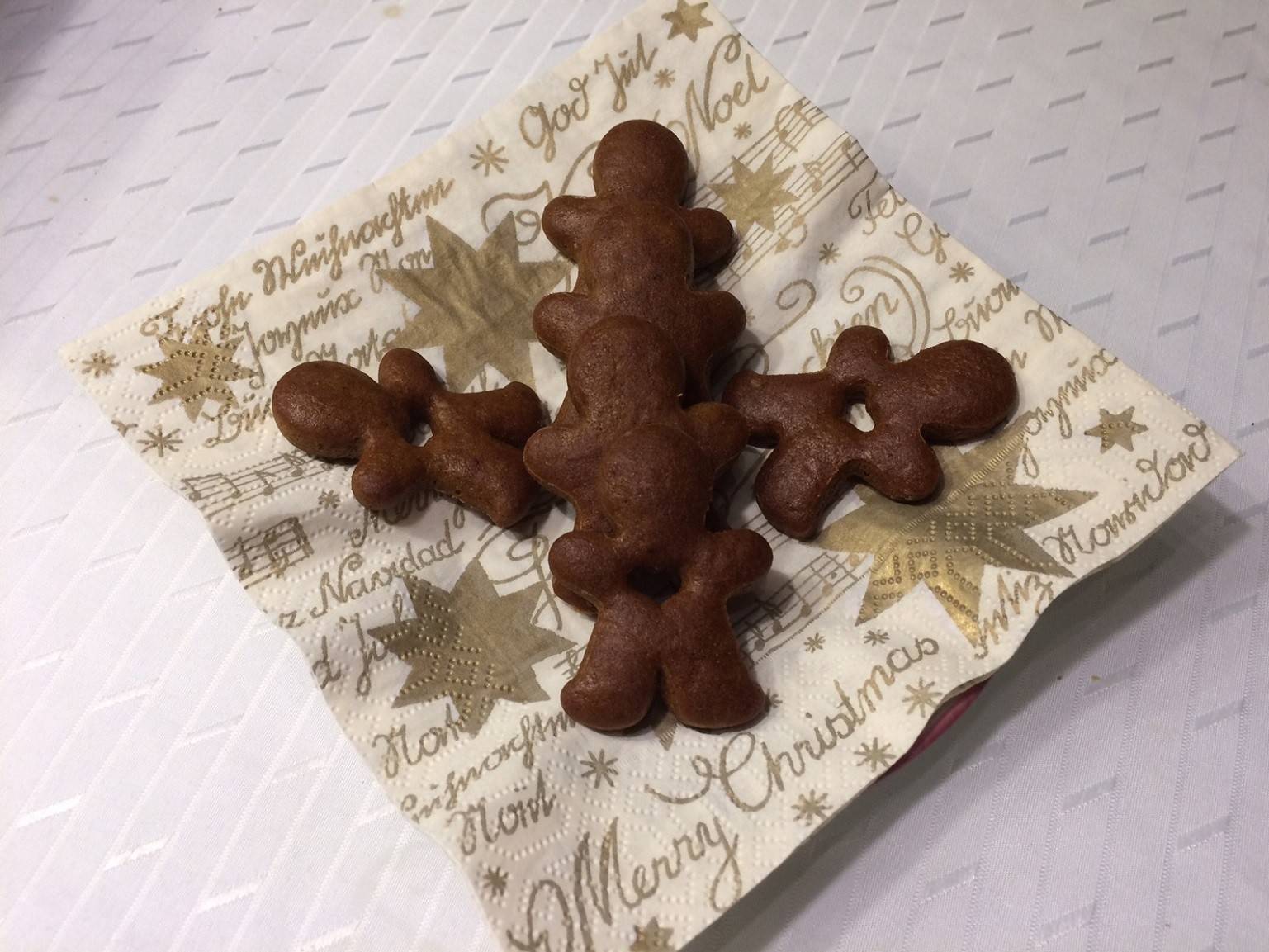 Lebkuchen-Kekse