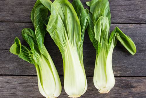Pak Choi Pak Choi