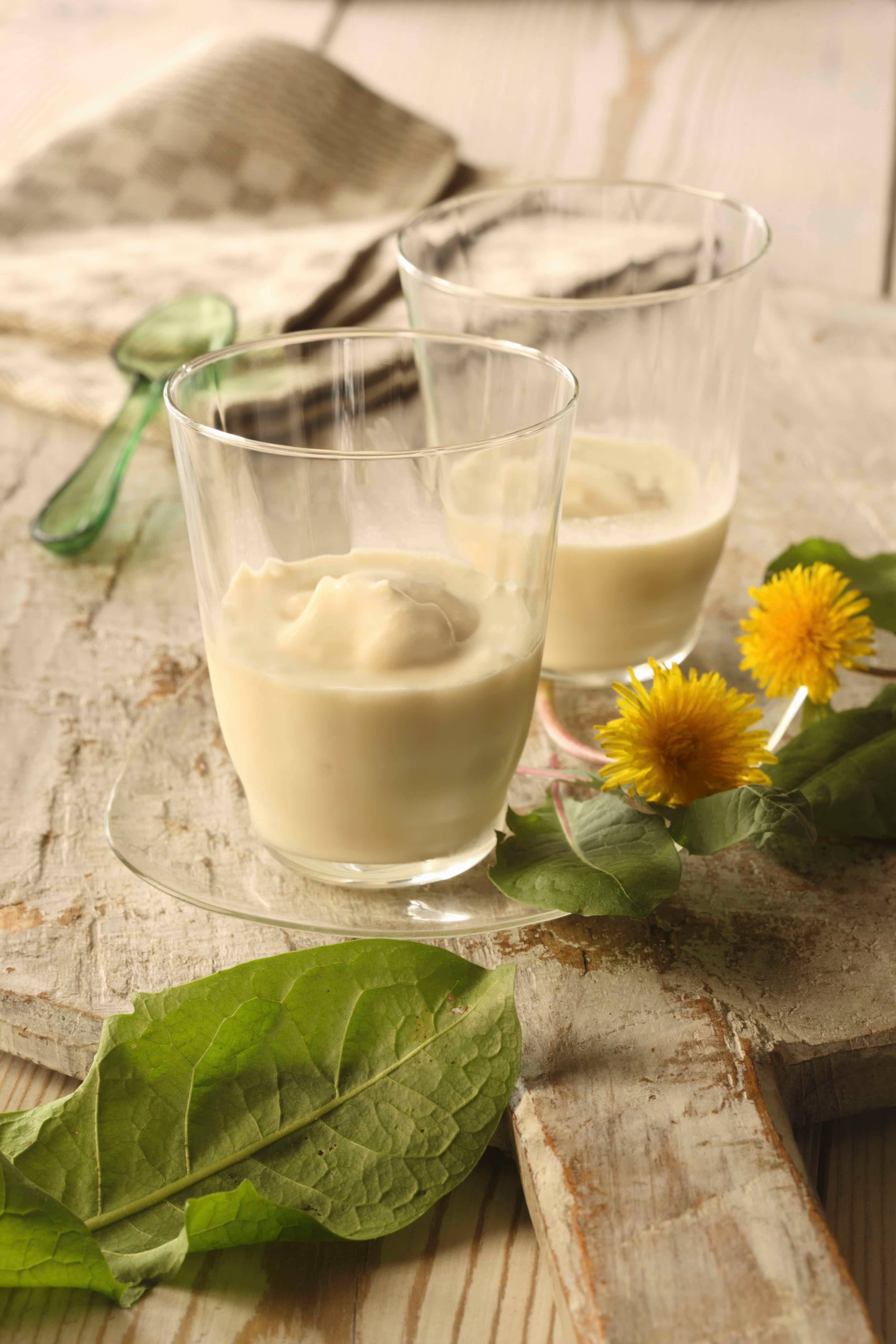Löwenzahn-Zitronen-Sorbet Rezept