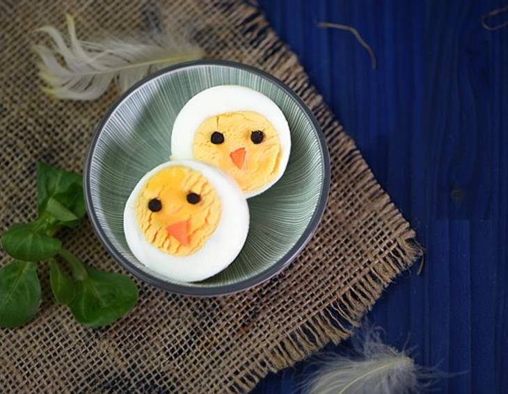 Eier-Küken Eier-Küken