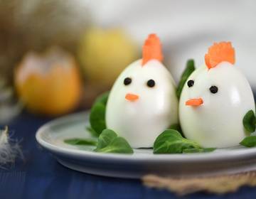 Eier-Hühner