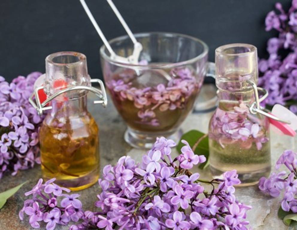 Fliederessig Fliederessig