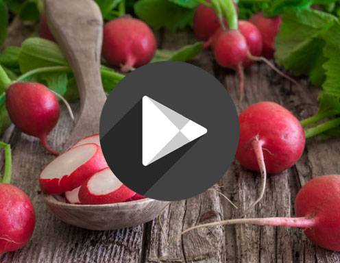 Video - Radieschen