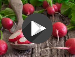 Video Video