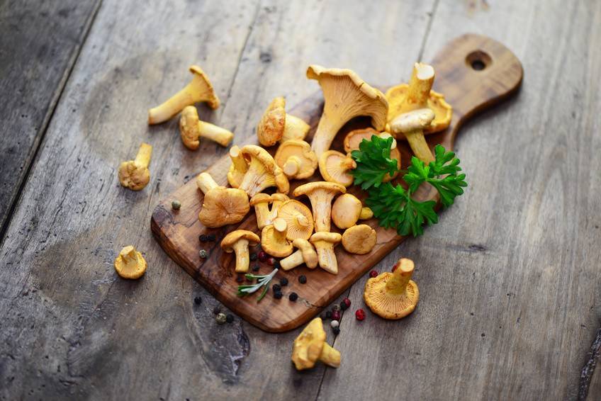 Die besten Eierschwammerl Rezepte