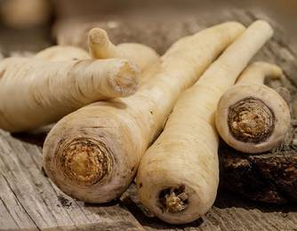 Pastinaken Rezepte Pastinaken Rezepte