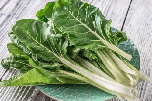 Die besten Mangold Rezepte Die besten Mangold Rezepte