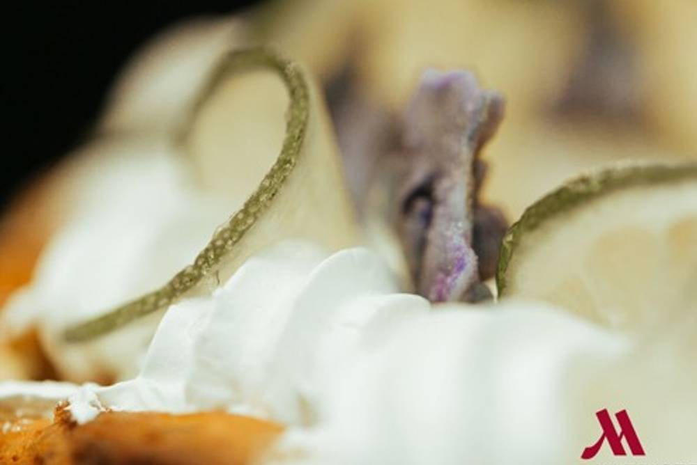 Cheesecake Tasting - Veilchen Limetten Cheesecake Cheesecake Tasting - Veilchen Limetten Cheesecake