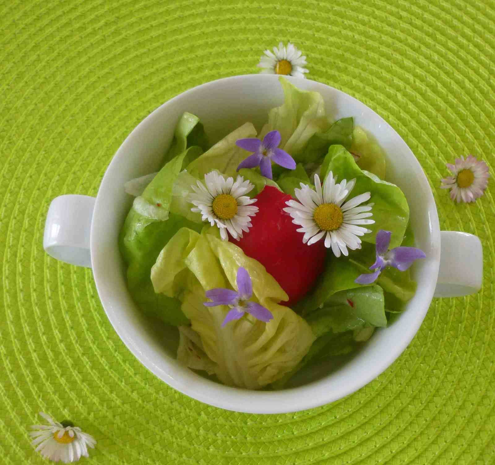 Grüner Salat mit Radieschen