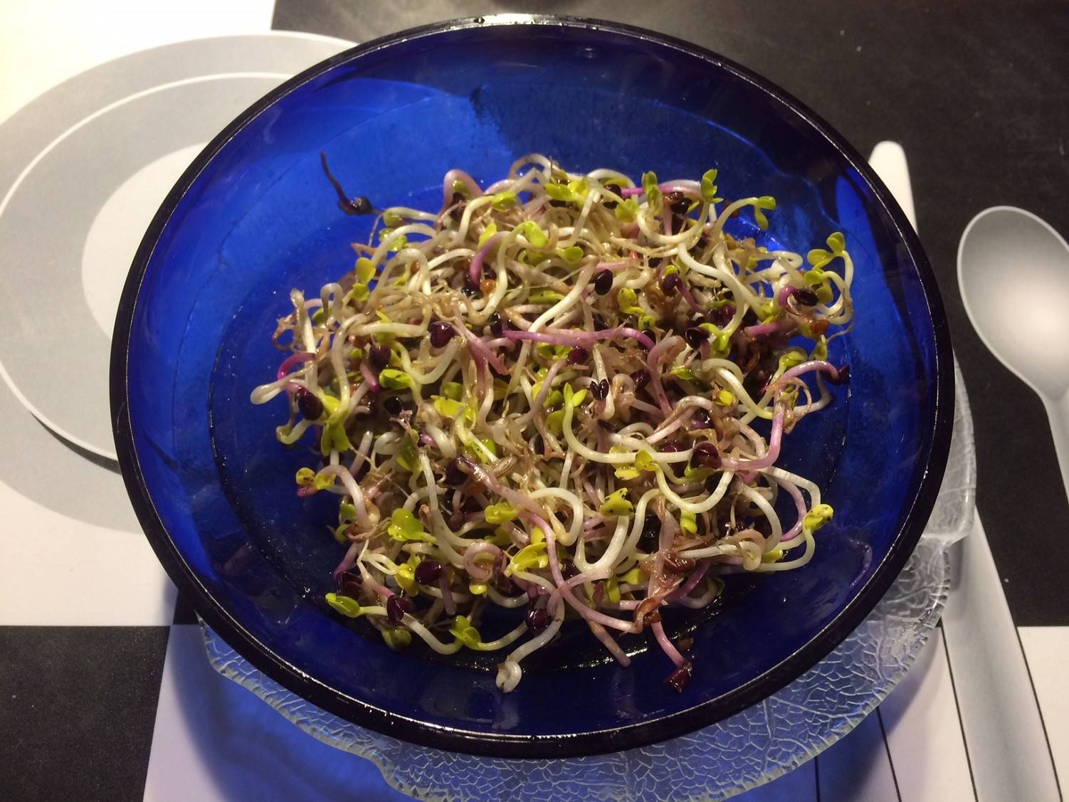 Sprossensalat Rezept - ichkoche.de