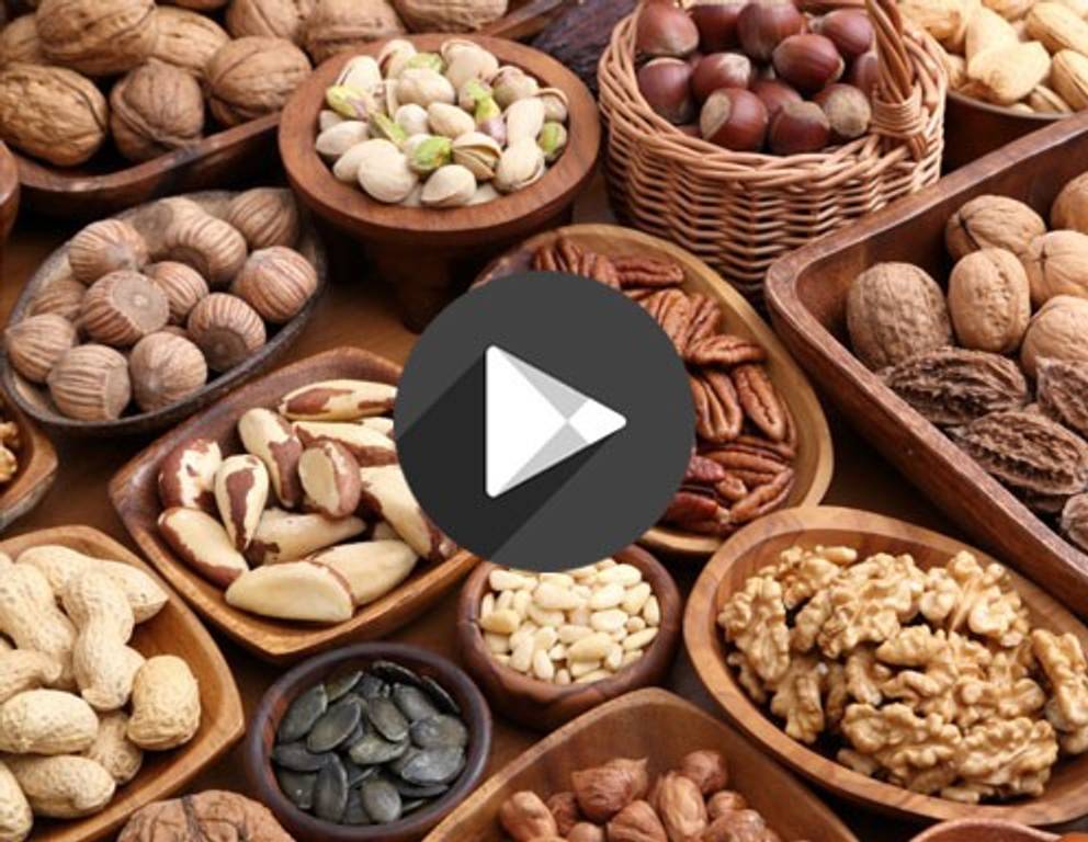 Kleine Nusskunde Kleine Nusskunde