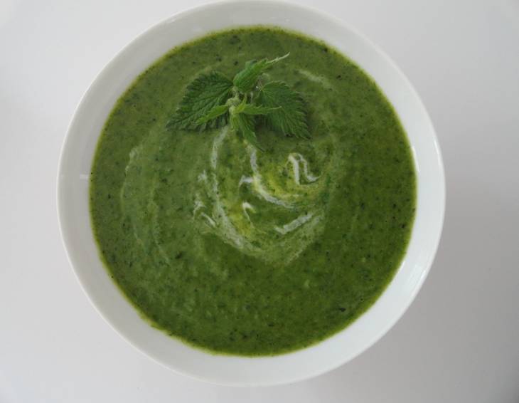 Brennesselsuppe Brennesselsuppe