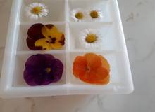 Eiswürfel mit Blumen