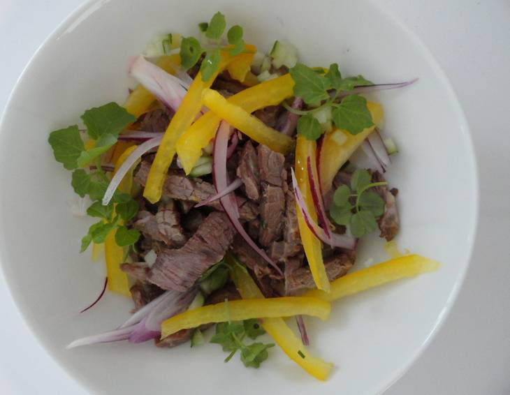 Rindfleischsalat mit Paprika und Kresse Rindfleischsalat mit Paprika und Kresse