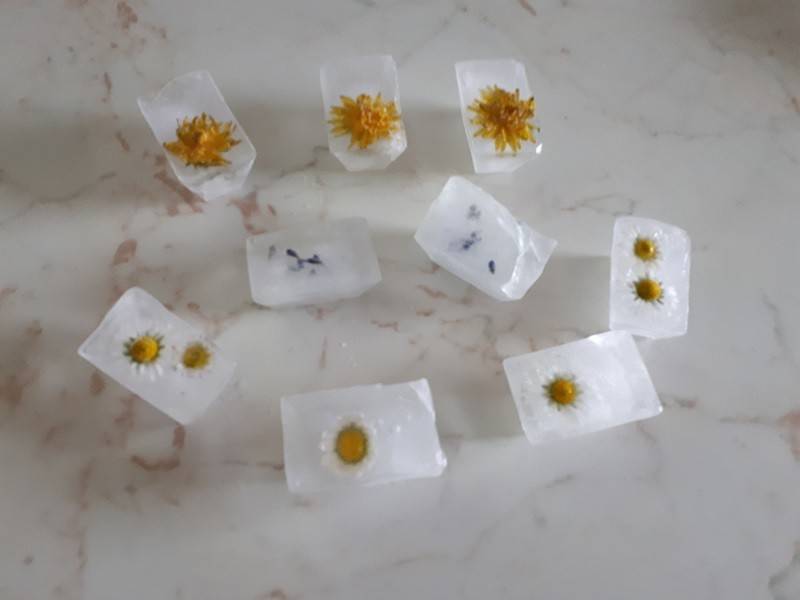 Blumige Eiswürfel Blumige Eiswürfel