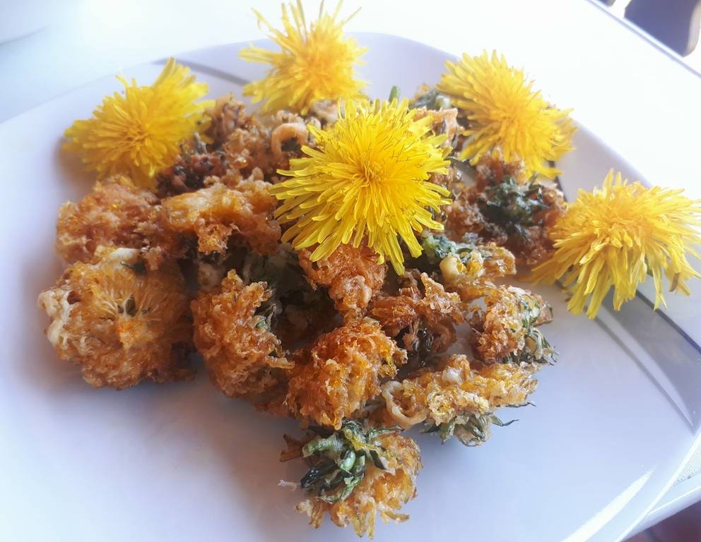 Frittierte Karfiolrosen mit Löwenzahn Frittierte Karfiolrosen mit Löwenzahn