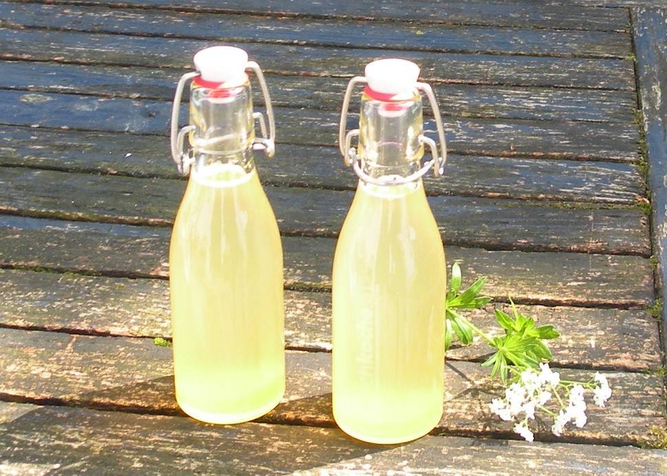 Waldmeistersirup Rezept - ichkoche.de Waldmeistersirup Rezept - ichkoche.de