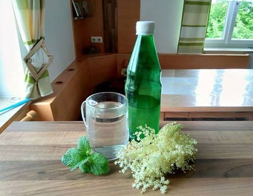 Einfacher Holunderblütensaft Rezept - ichkoche.at Einfacher Holunderblütensaft Rezept - ichkoche.at