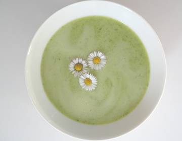 Wildkräutersuppe Wildkräutersuppe