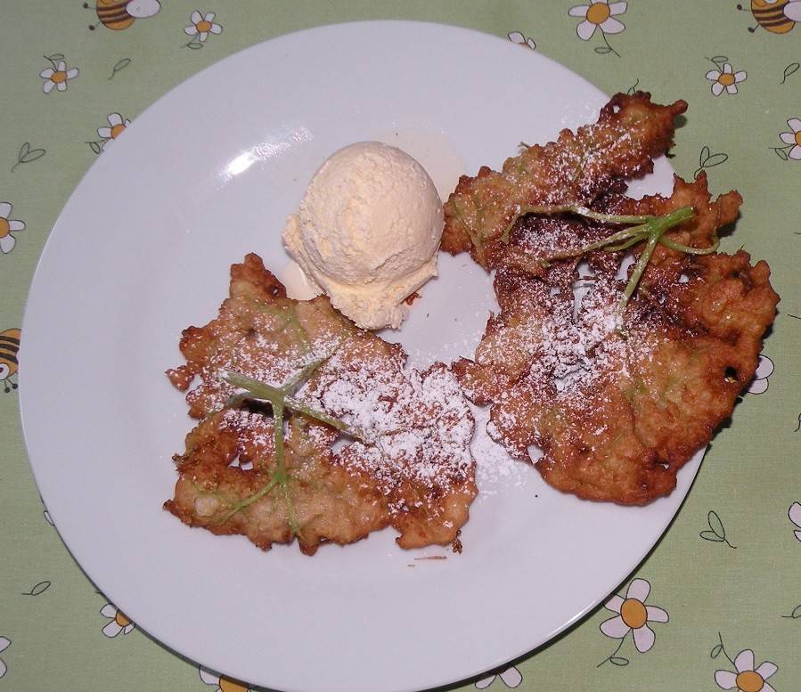 Gebackene Hollerblüten Rezept - ichkoche.de