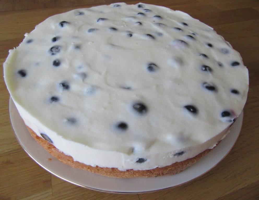 Joghurttorte mit Heidelbeeren Joghurttorte mit Heidelbeeren