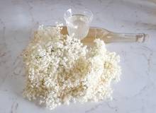 Beschwipster Holler Beschwipster Holler