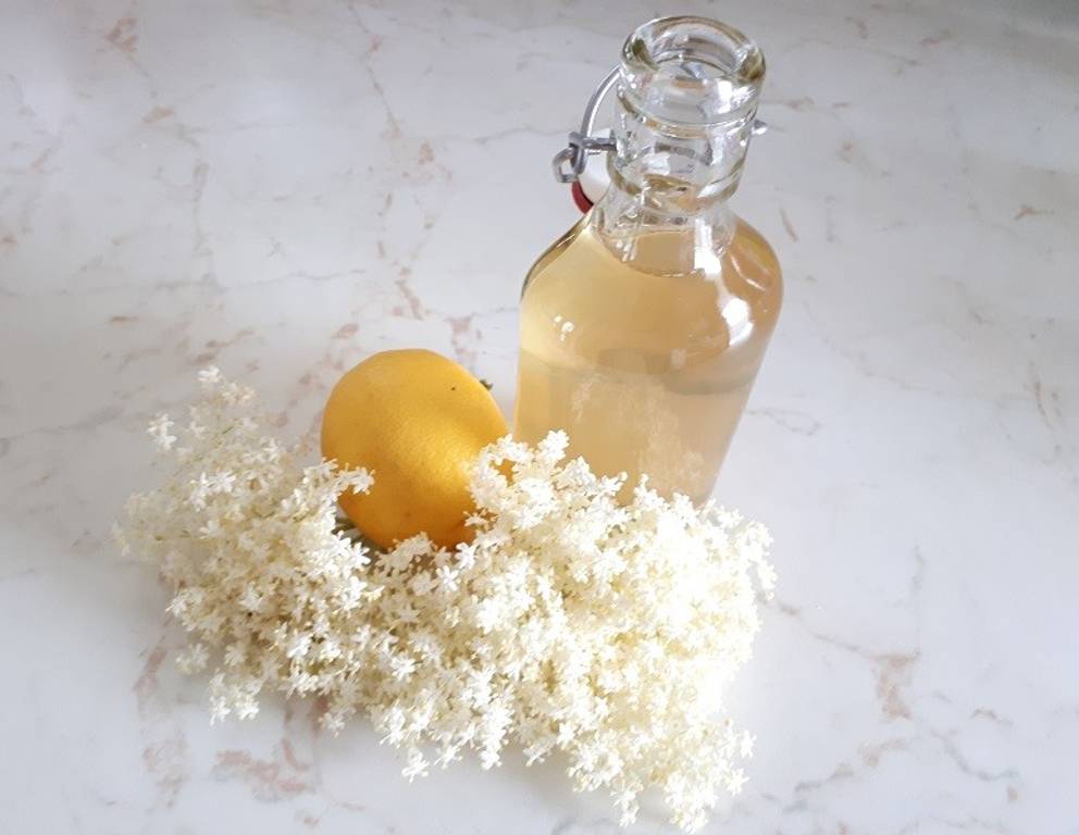 Fünf-Zutaten-Hollerblütensirup Fünf-Zutaten-Hollerblütensirup