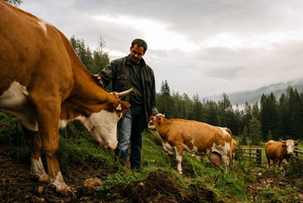 Geschmack_mit_gutem_Gewissen_Salzburgmilch