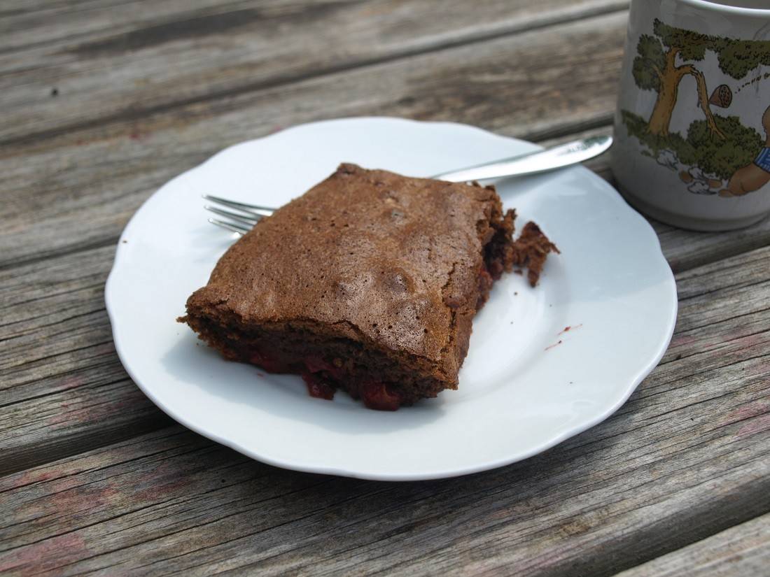 Kakao-Kuchen Rezept - ichkoche.at