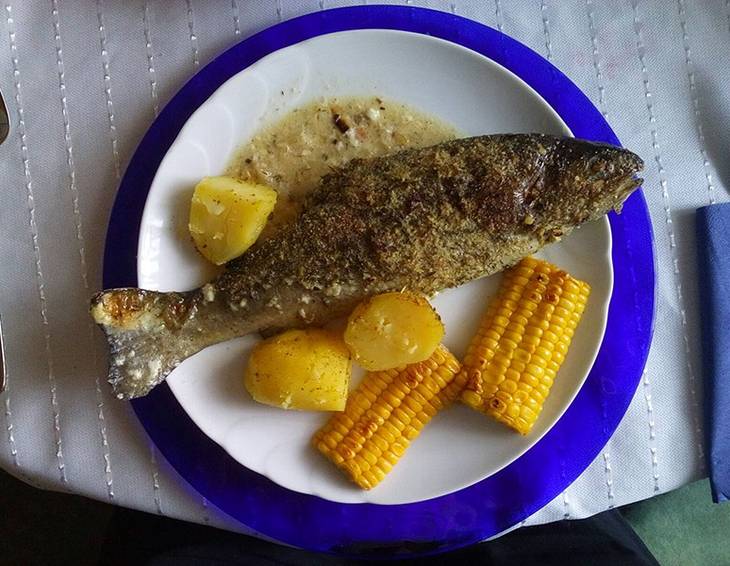 Forelle mit Kräutern Forelle mit Kräutern