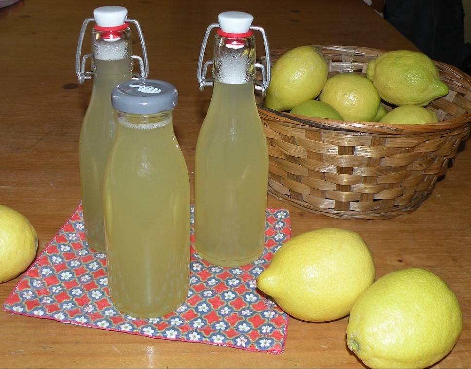 Zitronensirup Rezept - ichkoche.de