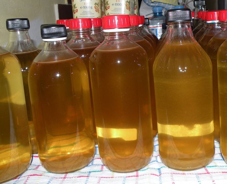 Zitronenmelisse-Sirup
