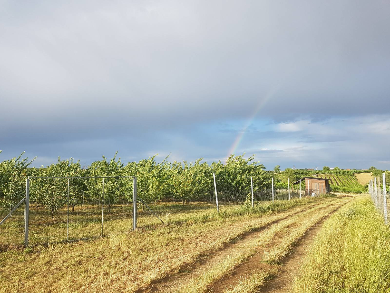 Am Ende des Regenbogens reichlich