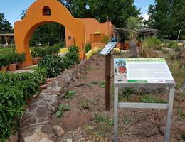 Mexikanischer Garten - vorsicht links HOT