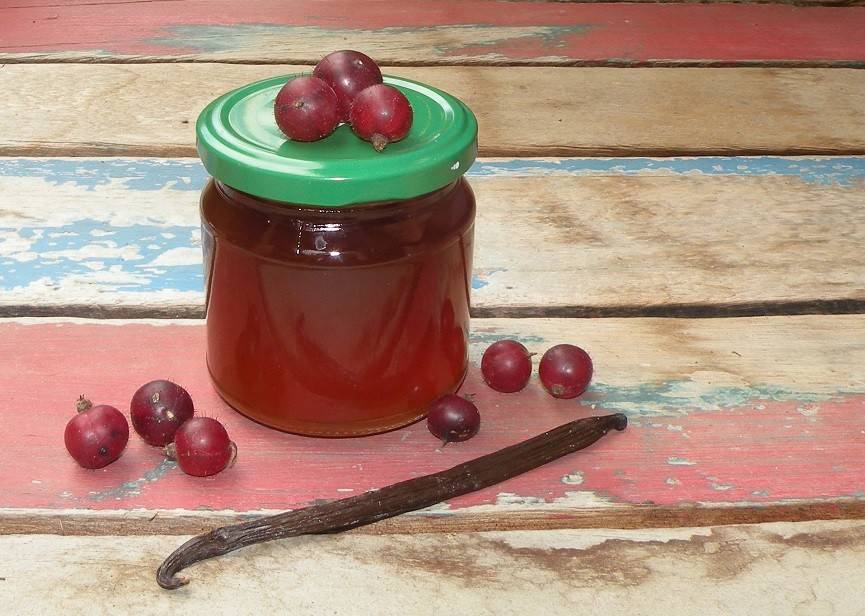Stachelbeergelee mit Vanille