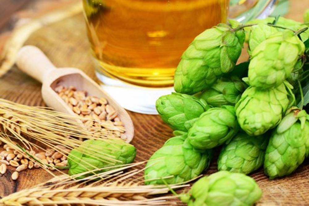 Bierzutaten Bierzutaten