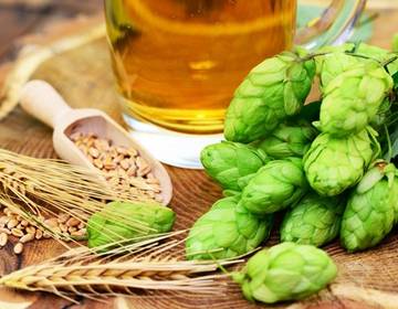 Das Beste aus der Natur