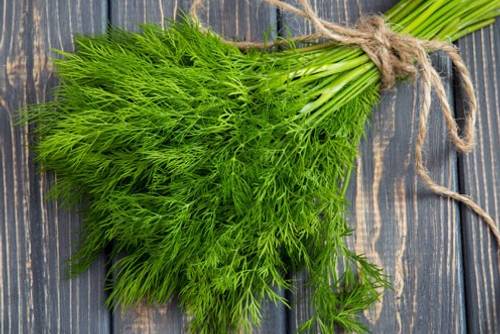 Dill Dill