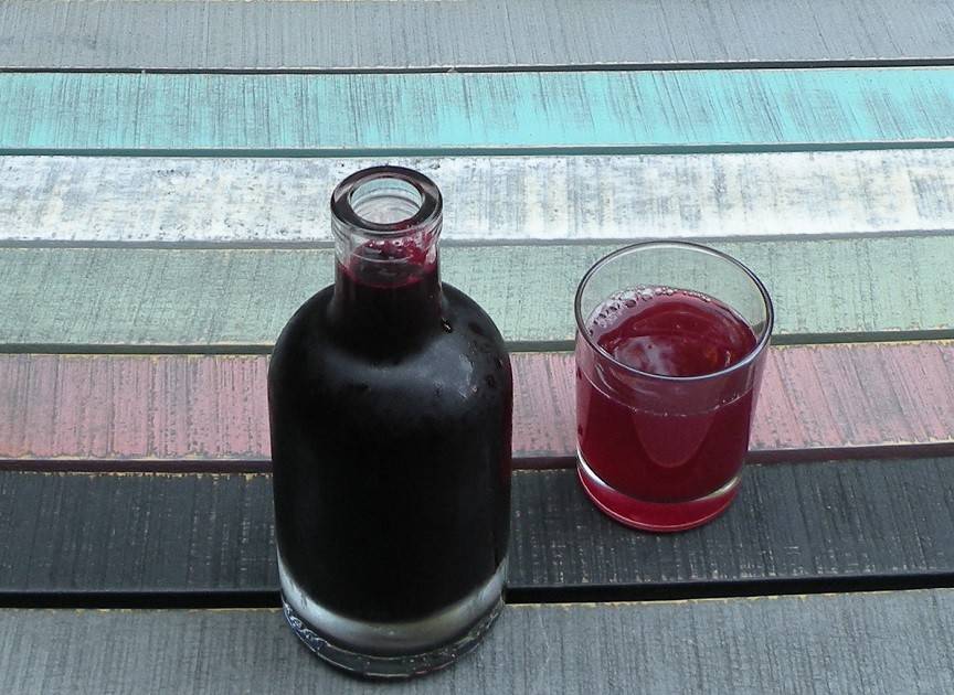 Cassis-Sirup Rezept - ichkoche.de Cassis-Sirup Rezept - ichkoche.de