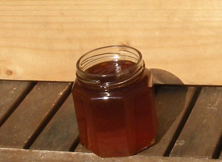 Sanddorn-Orangen-Gelee Rezept - ichkoche.ch